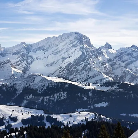 Le Bristol A16 By Interhome Lejlighed *