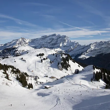 Le Bristol A16 By Interhome Villars-sur-Ollon