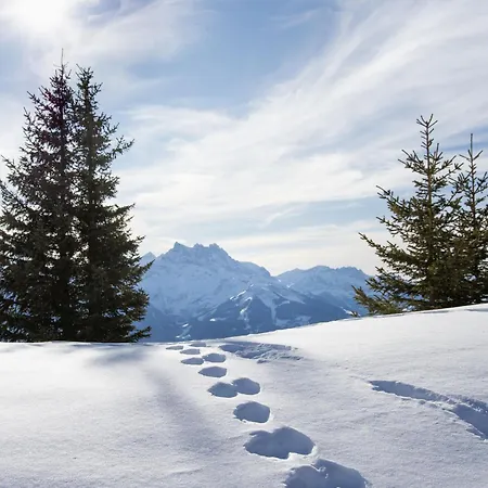 Le Bristol A16 By Interhome *