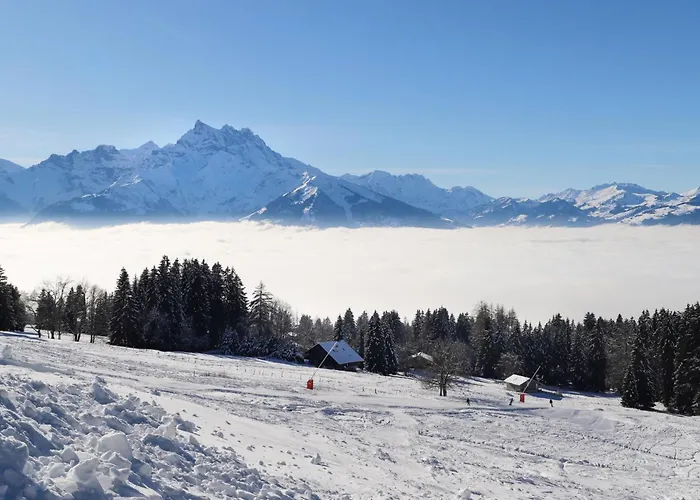 Le Bristol A16 By Interhome