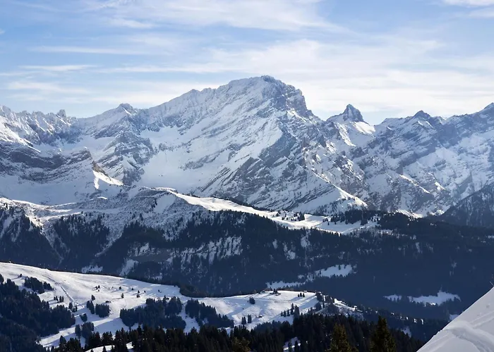 Le Bristol A16 By Interhome Appartamento *