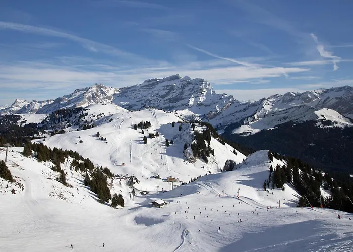 Le Bristol A16 By Interhome Villars-sur-Ollon