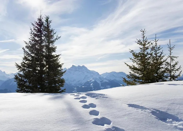 Le Bristol A16 By Interhome *